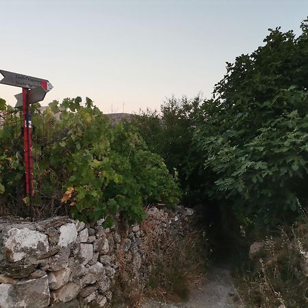 Naxos Mountain Retreat - Tiny House Build On Rock Διαμέρισμα Κόρωνος Εξωτερικό φωτογραφία