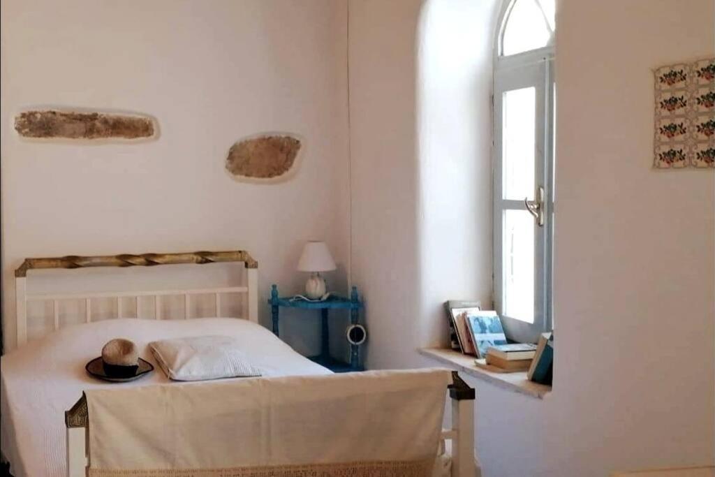 Naxos Mountain Retreat - Tiny House Build On Rock Διαμέρισμα Κόρωνος Εξωτερικό φωτογραφία
