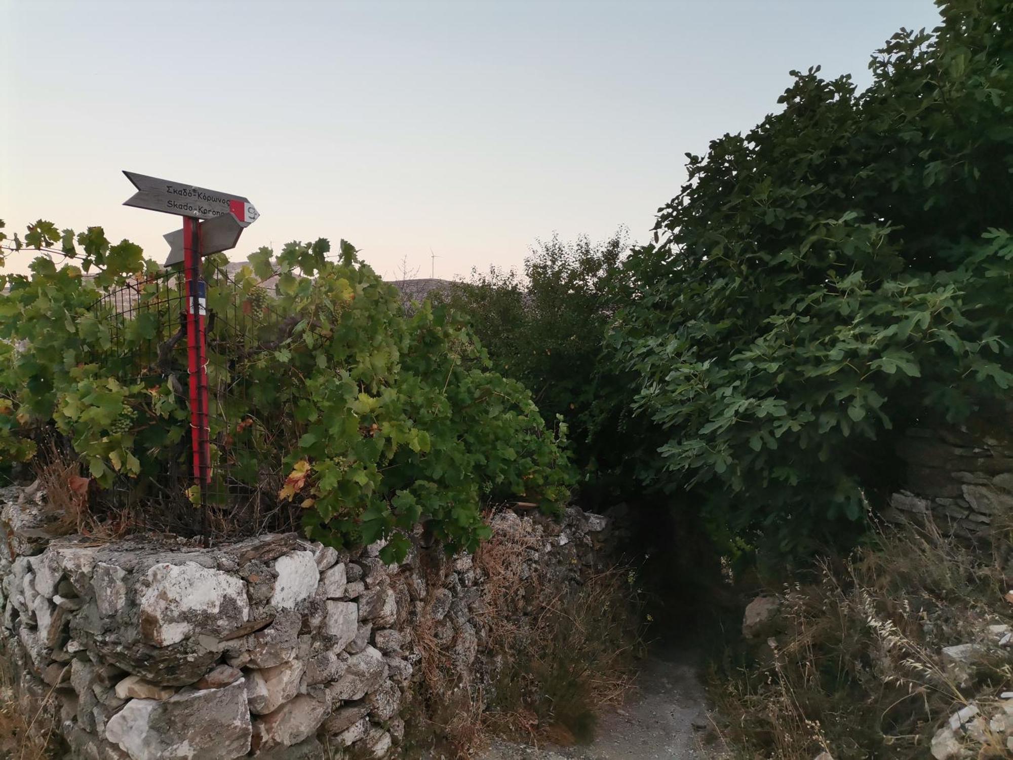 Naxos Mountain Retreat - Tiny House Build On Rock Διαμέρισμα Κόρωνος Εξωτερικό φωτογραφία